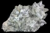 Calcite Crystal Cluster with Pyrite - Morocco #69532-2